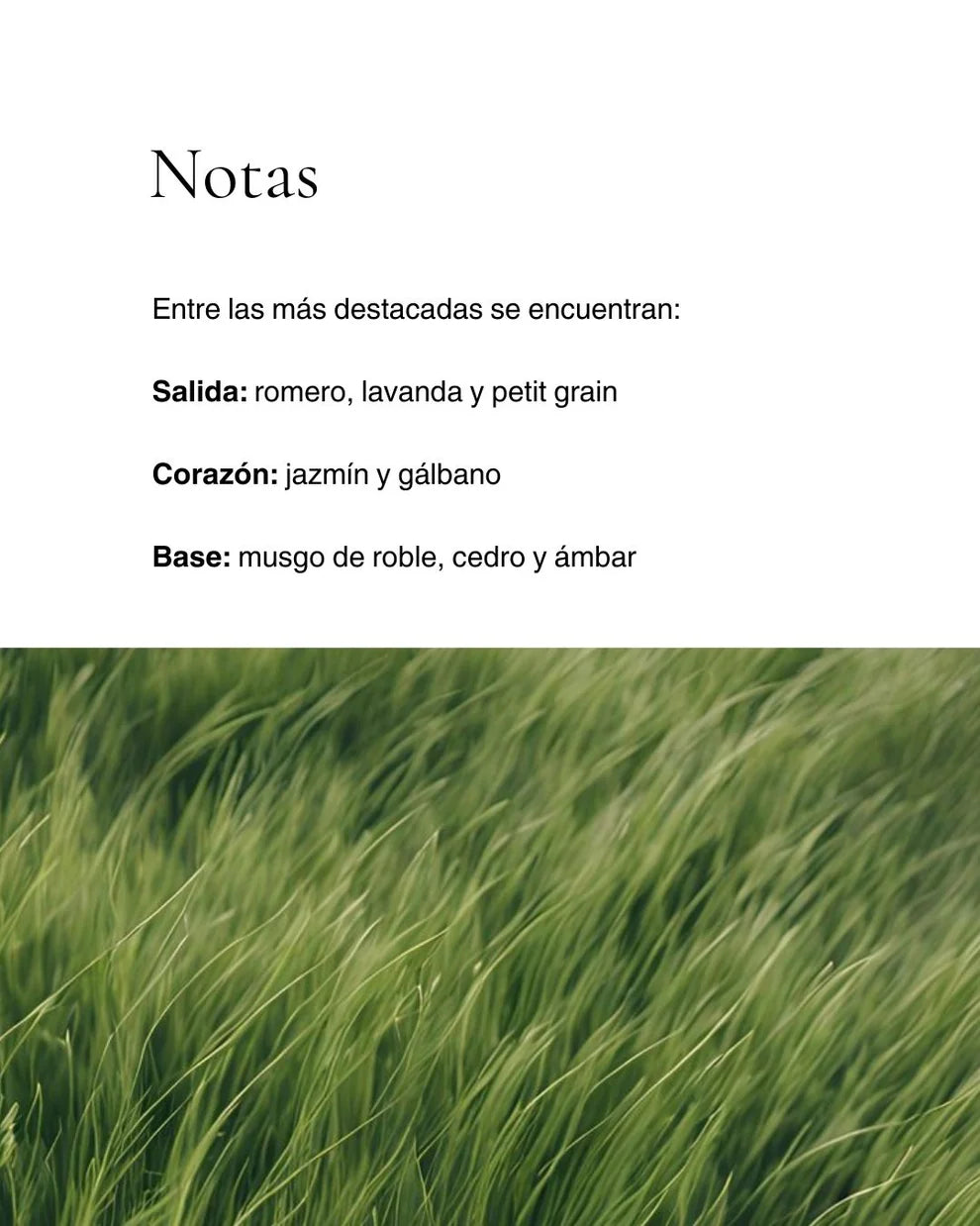 Veloreē: Number 01 Eau de Perfum